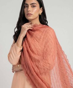 Orange Women Scarf-447882106